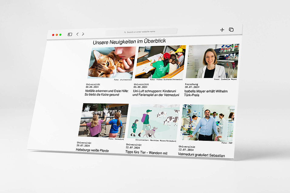 Screen mit News