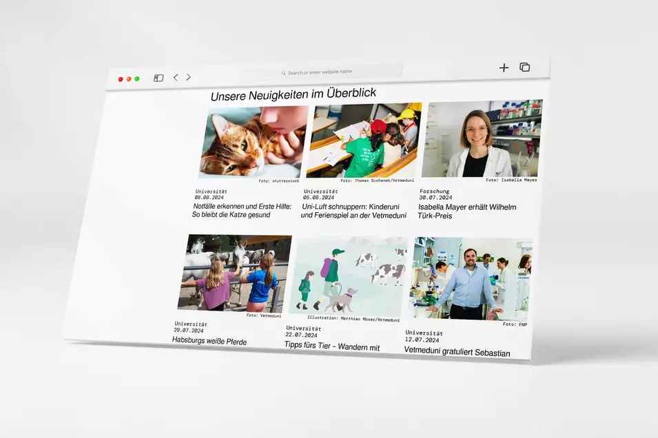 Screen mit News