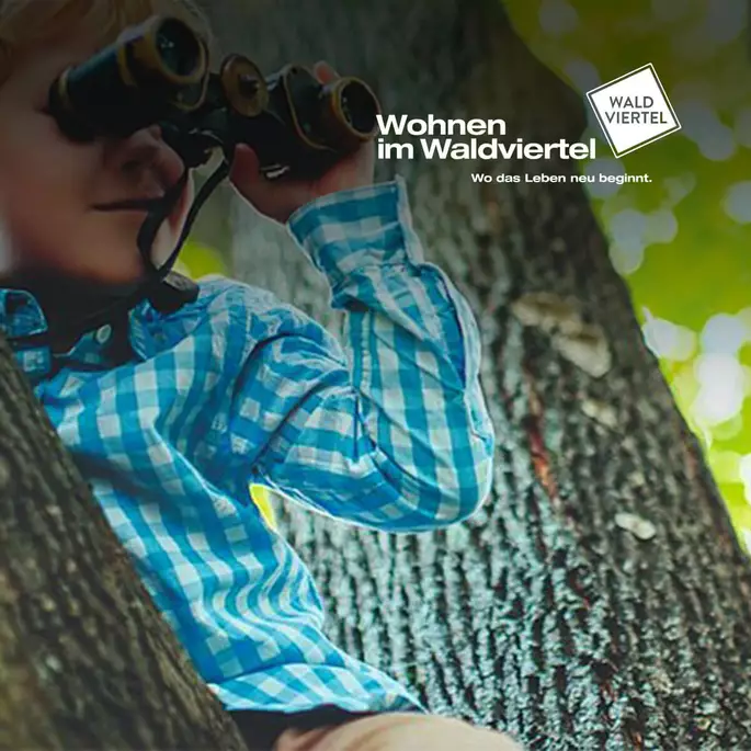 Kind sitzt am Baum und schaut mit Fernglas in die Ferne