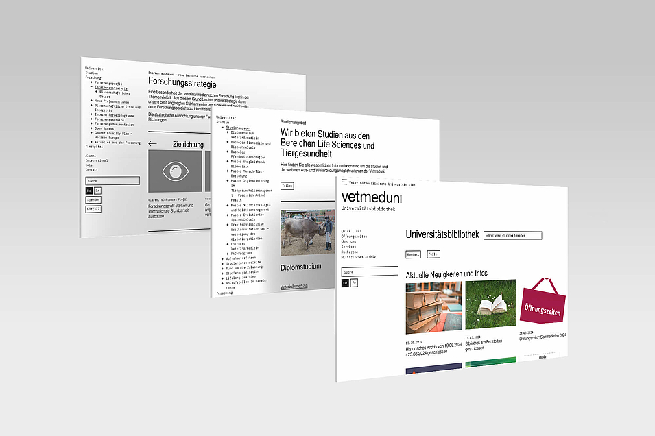 Screen Webpages
