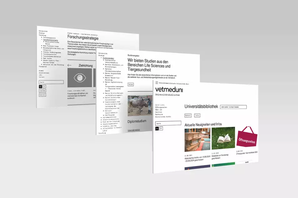 Screen Webpages