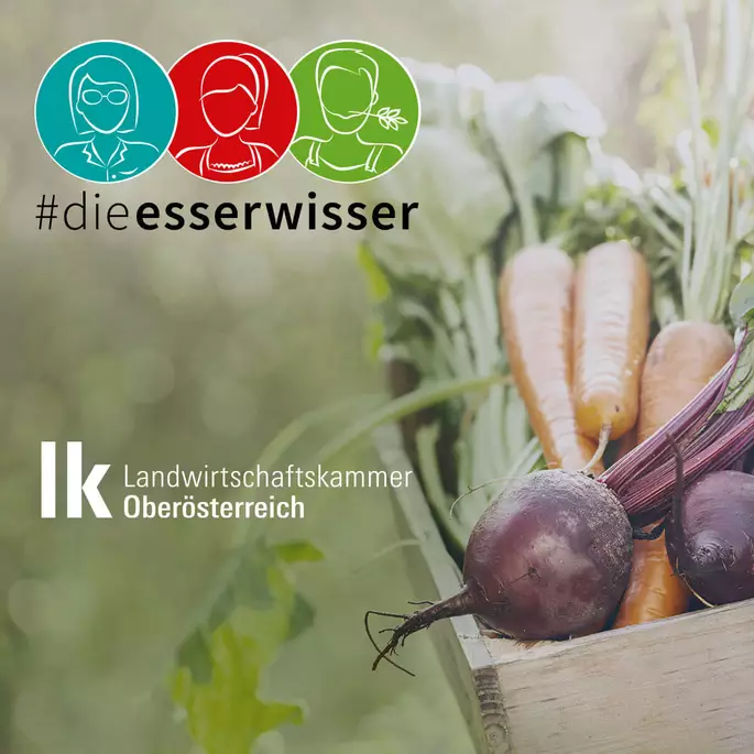 Logos auf Hintergrund mit Gemüse